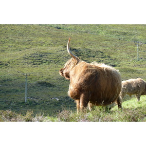 Photo Royaume-Uni Skye Les Cuillin 2011-07 90
