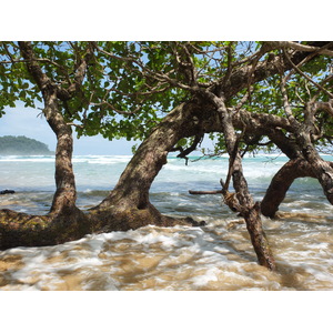 Photo Panama Bastimentos 2015-03 30