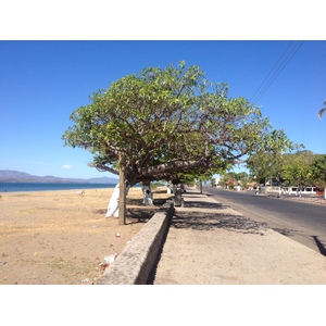 Photo Costa Rica Puntarenas 2015-03 79