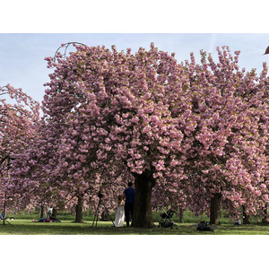Photo France Parc de Sceaux 2019-04 31