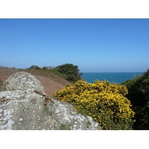 Photo Jersey 2010-04 13