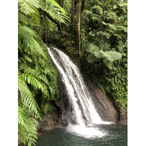 Photo Guadeloupe Cascade aux écrevisses 2021-02 11