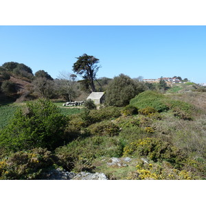 Photo Jersey 2010-04 201