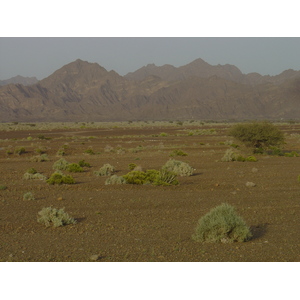 Photo Oman Route de Buraimi à Mahada 2005-03 19