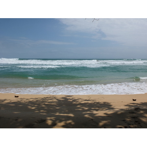 Photo Panama Bastimentos 2015-03 71