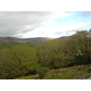Photo Irlande Kerry Parc National de Killarney 2004-05 48