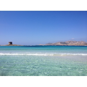 Photo Italie Sardaigne Capo del Falcone 2015-06 9