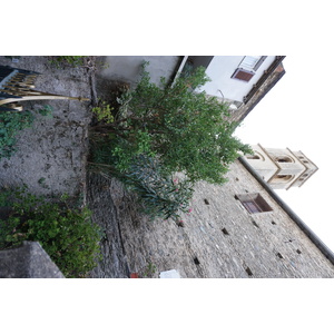 Photo France Corse Vescovato 2017-09 23