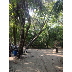 Photo Costa Rica Parc Manuel Antonio 2015-03 169