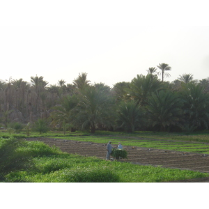 Photo Oman Mahada 2005-03 3