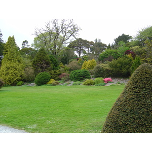 Photo Irlande Kerry Parc National de Killarney Muckross House 2004-05 5