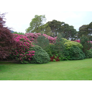 Photo Irlande Kerry Parc National de Killarney Muckross House 2004-05 9
