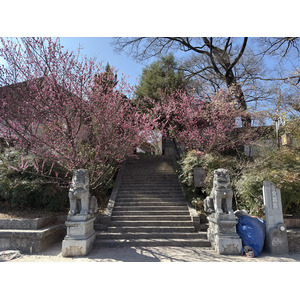 Photo Chine Lijiang 2026-01 96