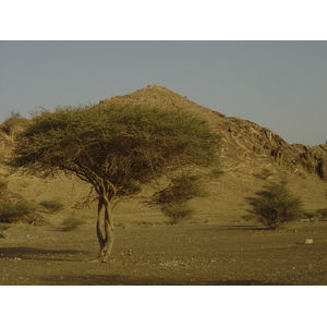 Photo Oman Route de Buraimi à Mahada 2005-03 3