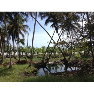 Photo Costa Rica Limon à Siquirres 2015-03 38