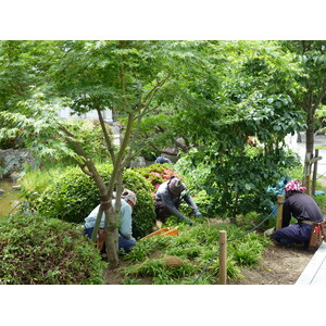 Photo Japon Kyoto temple Sanjusangendo 2010-06 12