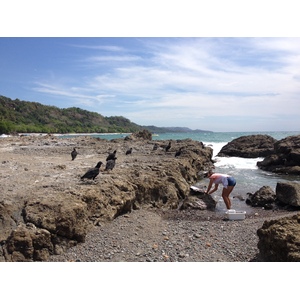 Photo Costa Rica Montezuma 2015-03 447