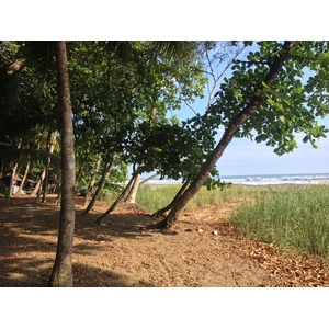 Photo Costa Rica Dominical 2015-03 114
