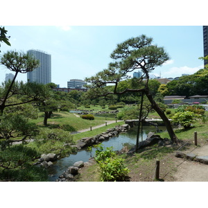 Photo Japon Tokyo Jardins Kyu Shiba rikyu 2010-06 51