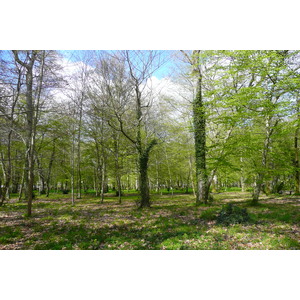 Photo France Château de Chenonceau Jardins de Chenonceau 2008-04 34