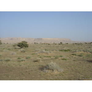 Photo Oman Route de Buraimi à Mahada 2005-03 2