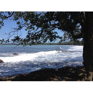 Photo Costa Rica Cahuita 2015-03 246