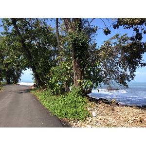 Photo Costa Rica Cahuita 2015-03 273