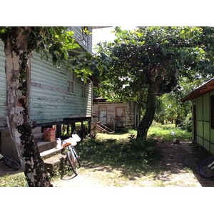 Photo Costa Rica Cahuita 2015-03 226