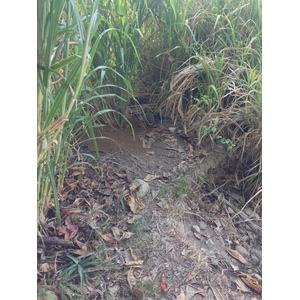 Photo Costa Rica Dominical 2015-03 83