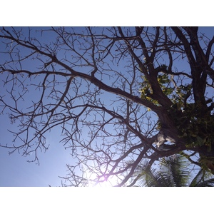 Photo Panama San Carlos 2015-03 75