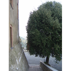 Photo France Les Hauts de Cagnes 2006-01 61