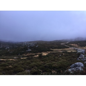 Photo France Corse Alta Rocca 2017-09 12