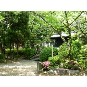 Photo Japon Tokyo Parc Shiba 2010-06 14