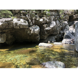 Photo France Corse Forêt d'Aïtone 2021-06 20