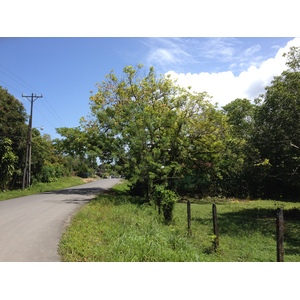 Photo Costa Rica Cahuita 2015-03 225