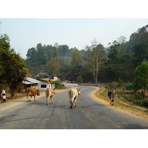 Photo Thaïlande Route de Chiang Mai à Pai 2007-02 64