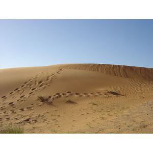 Photo Émirats arabes unis Route de Dubai à Al Ain 2005-03 37