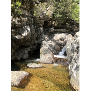 Photo France Corse Forêt d'Aïtone 2021-06 5