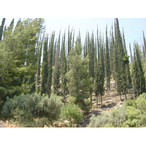 Photo Israel Route 2001-07 16