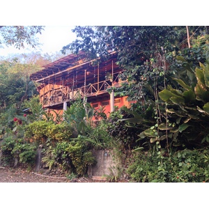 Photo Costa Rica Parc Manuel Antonio 2015-03 444