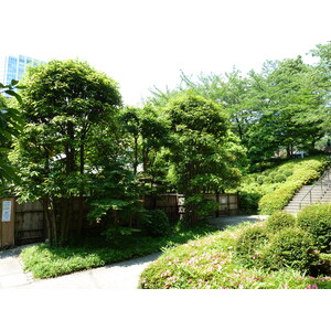 Photo Japon Tokyo Parc Shiba 2010-06 34
