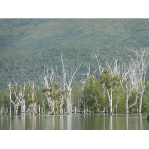 Photo Nouvelle-Calédonie Parc de la Rivière Bleue 2010-05 148