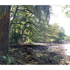 Photo Costa Rica Cahuita 2015-03 19