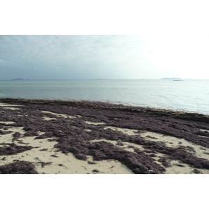 Photo Îles Fidji île Beachcomber 2010-05 13
