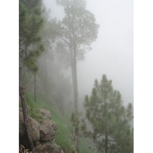 Photo Pakistan Murree 2006-08 29