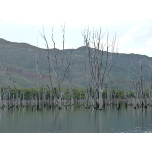 Photo Nouvelle-Calédonie Parc de la Rivière Bleue 2010-05 0