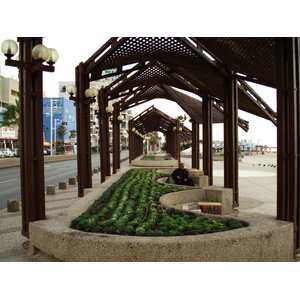 Photo Israel Tel Aviv Tel Aviv bord de mer 2006-12 225