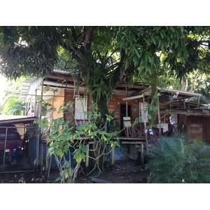 Photo Costa Rica Cahuita 2015-03 120