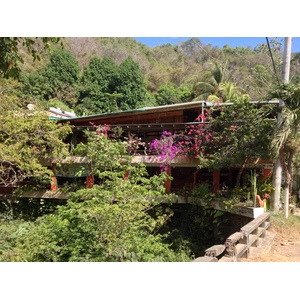 Photo Costa Rica Montezuma 2015-03 408