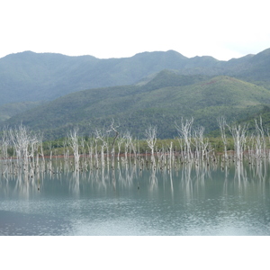 Photo Nouvelle-Calédonie Parc de la Rivière Bleue 2010-05 86
